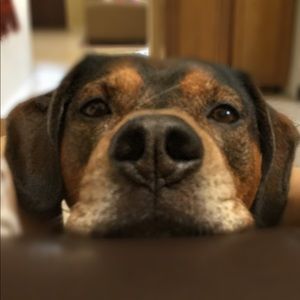 Meet your Posher, Stacey